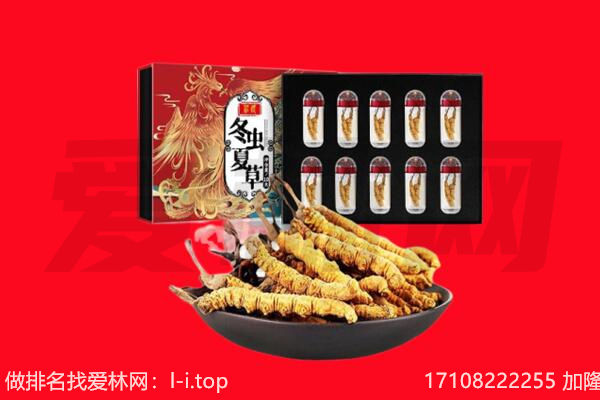 淮安盱眙县回收虫草.jpg